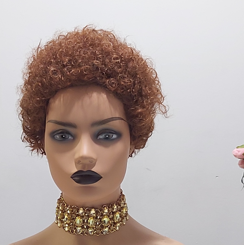 100% human hair wig